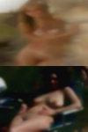 Between cougar 54 and 64.